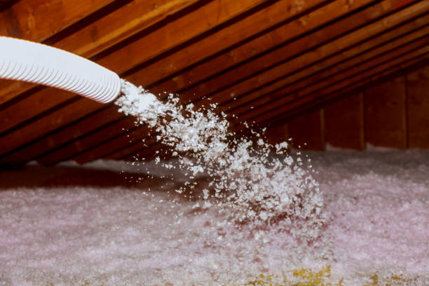 Best Spray Foam Insulation in Foothill Farms, CA