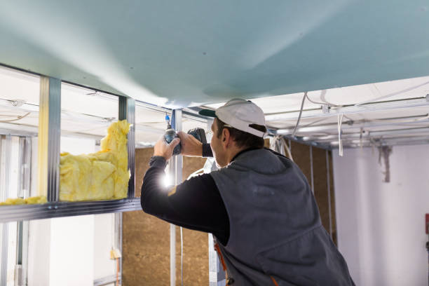 Best Blown-in Insulation in Foothill Farms, CA