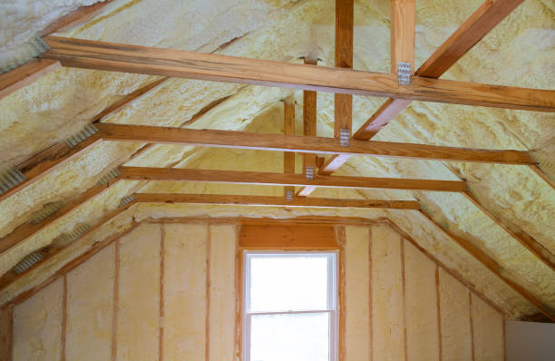 Best Cellulose Insulation in Foothill Farms, CA