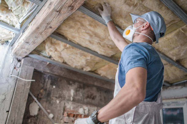 Types of Insulation We Offer in Foothill Farms, CA