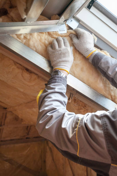 Best Specialized Insulation Services in Foothill Farms, CA
