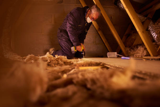Best Fiberglass Insulation in Foothill Farms, CA